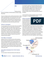 Neurotransmission: The Synapse: What Is Synaptic Transmission?