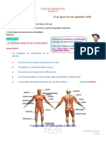 Guia #15 Ciencias Naturales