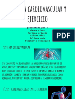 Sistema Cardiovascular y Ejercicio