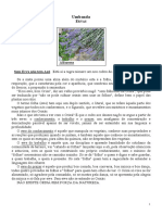 30 Ervas Umbanda PDF