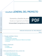 Teoria General Del Proyecto