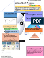 Total Magnification of Microscope Principle of Magnification in Microscope