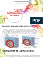 Segunda Semana de Desarrollo