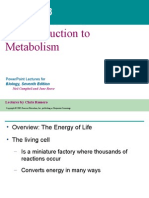 An Introduction To Metabolism: Powerpoint Lectures For