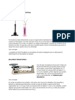 Masa Tipos de Balanza