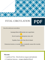 Fetal Circulation