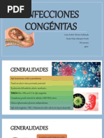 Infecciones Congénitas