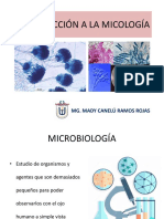 1.introducción A La Micología