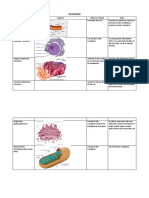 Cell Organelles Organelle Diagram Where It's Found Role Cell Surface Membrane