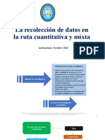 La Recolección de Datos