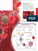 Human Body - A Visual Encyclopedia (PDFDrive) - 69-71