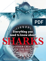 Everything You Need To Know About Sharks