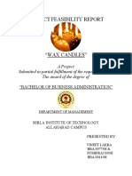 Project Feasibility Report