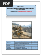 Trabajo Final-Conminución de Minerales