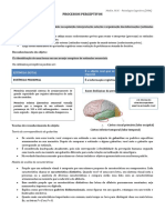 Processos Perceptivos