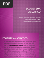 Ecosistema Acuatico