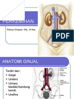 Sistem Perkemihan