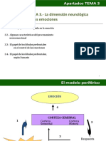 Tema 3 - La Dimensión Neurológica de Las Emociones