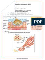 A&P - 4b. The Nerve-Muscle Interface (7p)