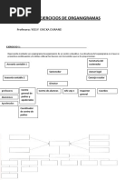 Organigramas Contabilidad Tributaria