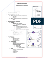 A&P - 4c. Revision of The Nervous System (5p)