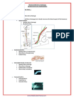 PATH - Neurovascular Compromises (4p)