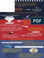 Infografía Econometría