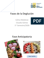 Clase N°2. Fases de La Deglución PDF