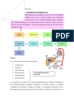 Fenomeno Primer Paso