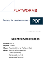 Flatworms