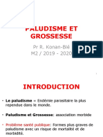 Paludisme Et Grossesse M2 2018-2019-1