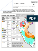 Las Lenguas en El Perú