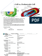 Eukaryotic Cell Vs Prokaryotic Cell - Difference and Comparison - Diffen