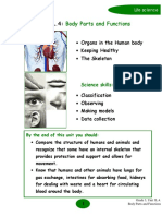 Unit 3L.4:: Body Parts and Functions