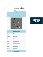 Saccharomyces Cerevisiae