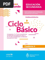 C04 Secundaria CicloBasico Web