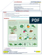 Sesiòn de Aprendizaje: Hoy Leerán Un Texto Sobre Las Plantas Para, Luego, Compartirlo en Familia