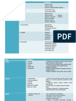 Síntesis Procesos Cognitivos Áreas