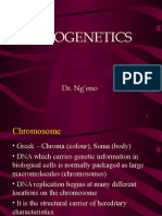 Cytogenetics Presentation