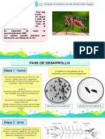 3ra Semana de Parasitologia