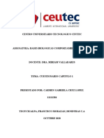 Tarea No. 1.1 Cuestionario Capitulo I