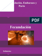 Fecundación, Embarazo y Parto