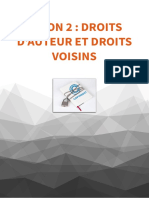 Leçon 2 - Droits D'auteur Et Droits Voisins PDF