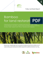 Bamboo For Land Restoration