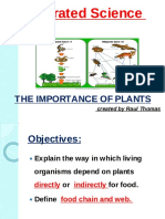 Food Chain and Web Presentation PDF