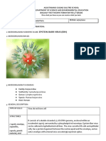 Epstein-Barr Virus (Ebv) : 1. Microorganism Scientific Name: 2. Microorganism Image