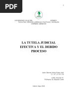 La Tutela Judicial Efectiva y El Debido Proceso