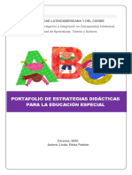 Portafolio de Estrategias Didacticas - Raisa PDF