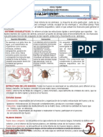 Guia 3 Ciencias Naturales 7 Hecho