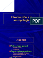 Antropologia